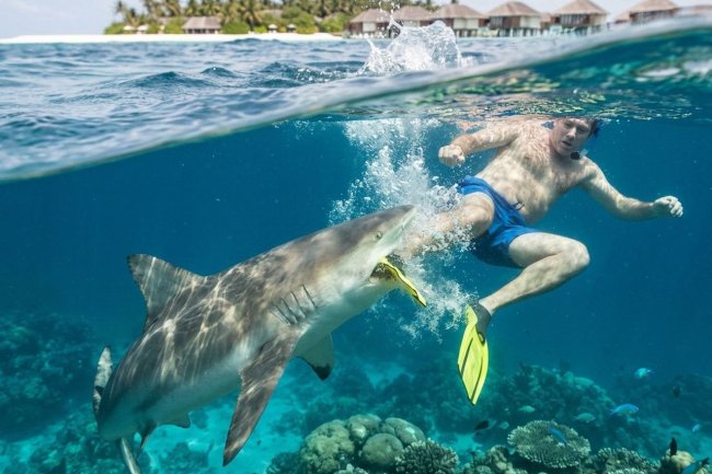 Убитая горем жена туриста, которому акула оторвала ногу на Мальдивах, сообщает подробности и требует наказания турфирмы