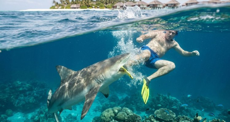 Убитая горем жена туриста, которому акула оторвала ногу на Мальдивах, сообщает подробности и требует наказания турфирмы