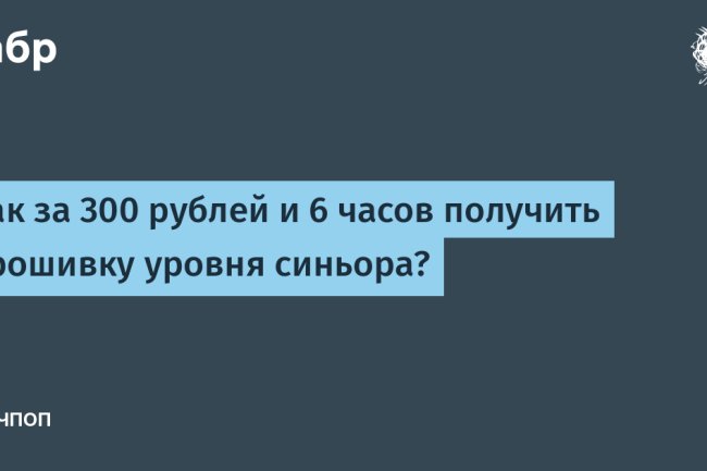 Как за 300 рублей и 6 часов получить прошивку уровня синьора?