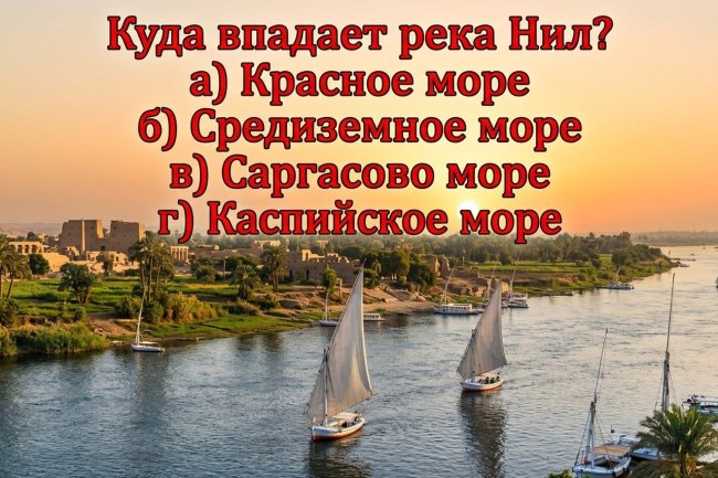 Куда впадает река Нил? Если ответите за 5 секунд без карты — вы настоящий эрудит